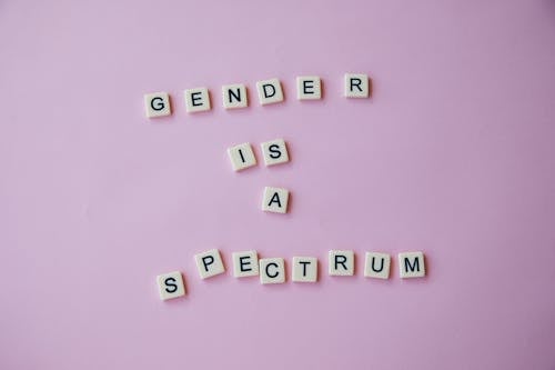 Free From above of composition made of letters with inscription Gender is a spectrum placed on pink background in studio Stock Photo