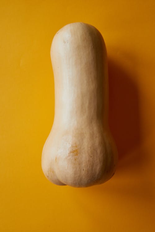 From above of ripe fresh butternut squash placed on orange background in daylight