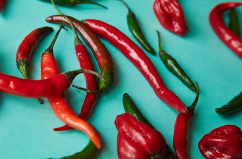 High angle assortment of fresh ripe sweet and chili colorful peppers placed on light blue surface