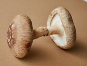 High angle of brown beech mushrooms native to Asian countries placed on beige background