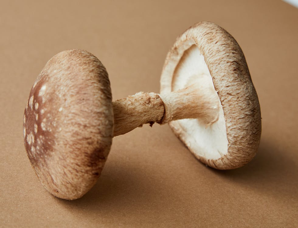 Free High angle of brown beech mushrooms native to Asian countries placed on beige background Stock Photo
