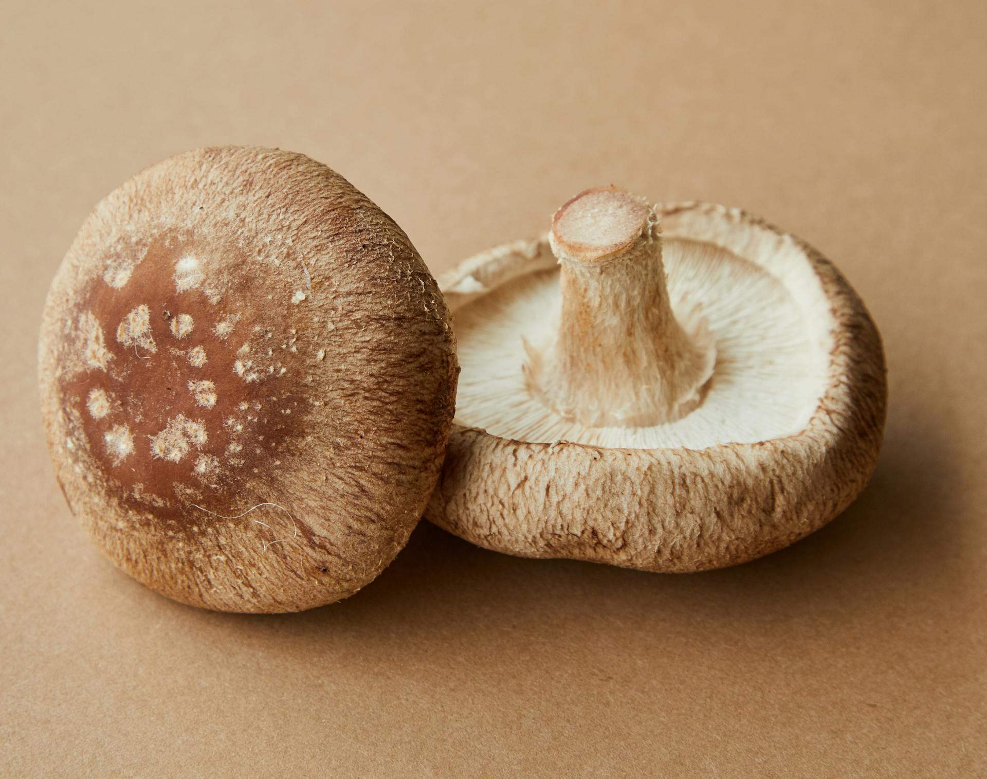 High angle of delicious raw mushrooms with spotted caps placed on light brown background