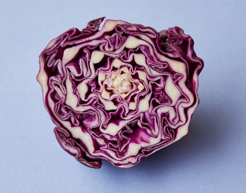 From above of half of purple raw fresh juicy cabbage on blue background