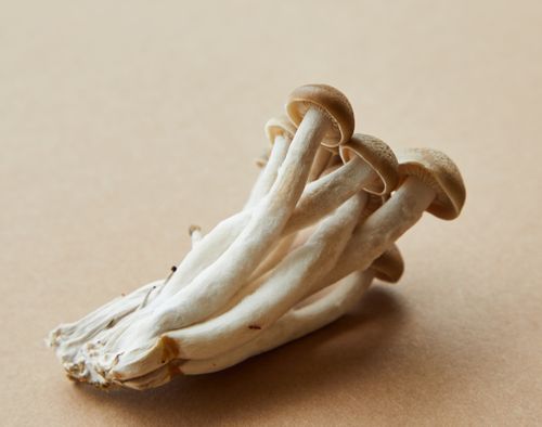 Free From above of pile of small raw hon shimeji mushrooms placed on brown background Stock Photo
