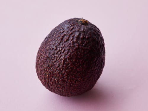 Closeup of ripe big unpeeled whole brown avocado tree fruit on purple background