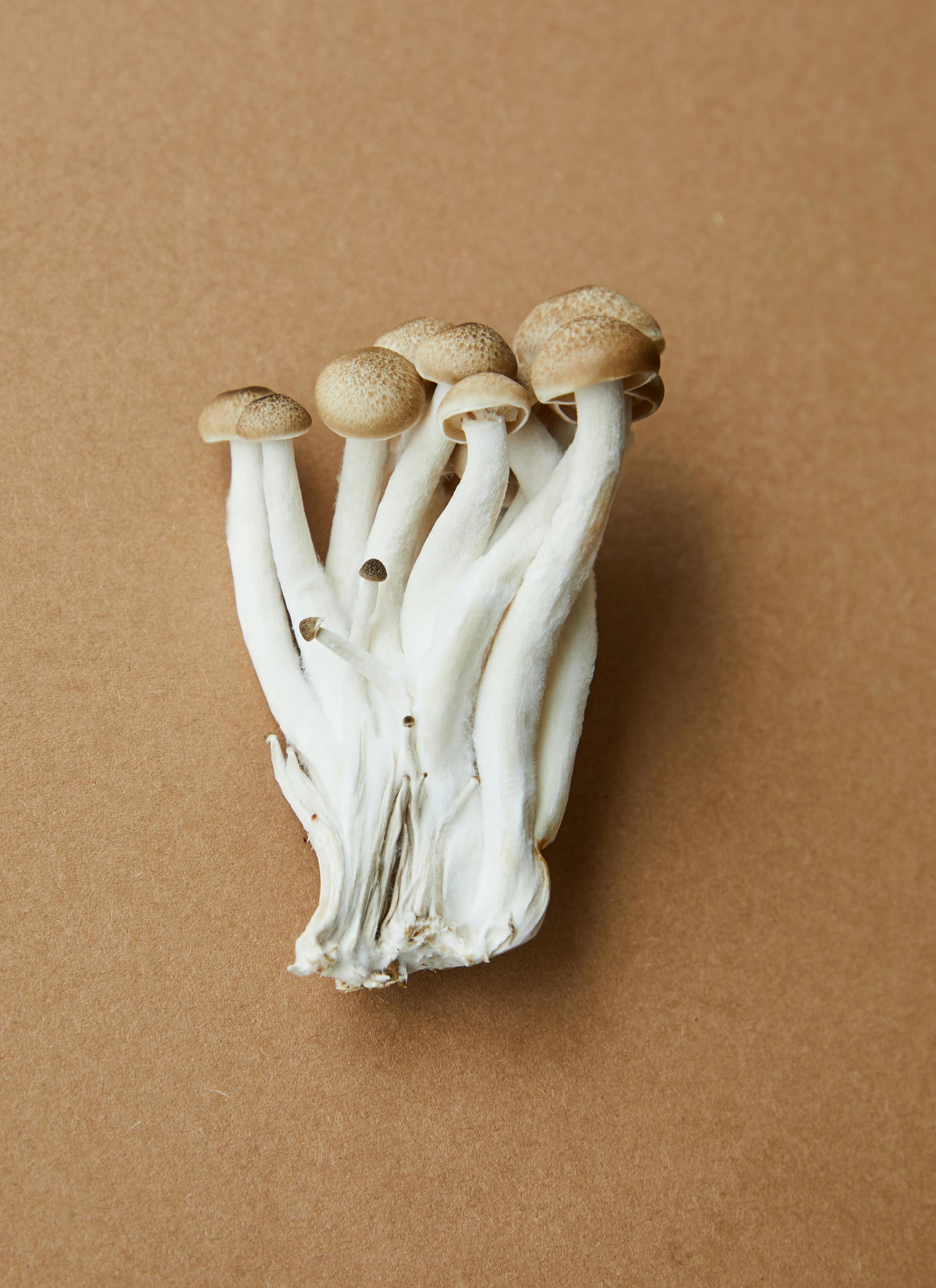 fresh uncooked mushrooms on brown surface