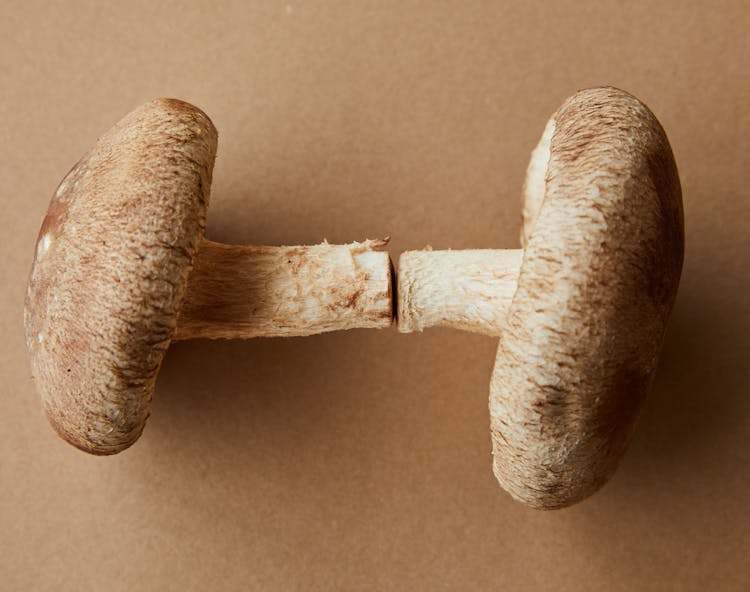 Small Edible Mushrooms On Brown Surface