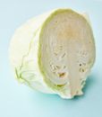 Cut fresh white cabbage on blue background
