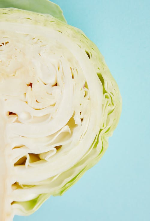 Top view cross section of fresh healthy white cabbage placed on blue background