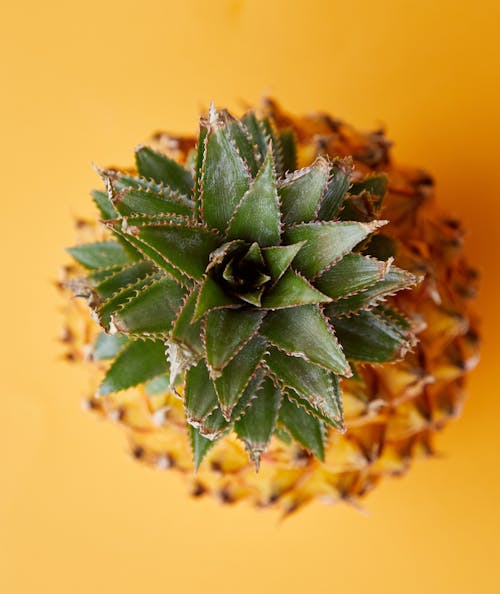 Exotic fresh pineapple with green leaves