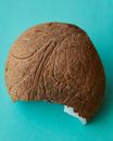Top view of brown fresh ripe coconut with brown rough shell on blue background