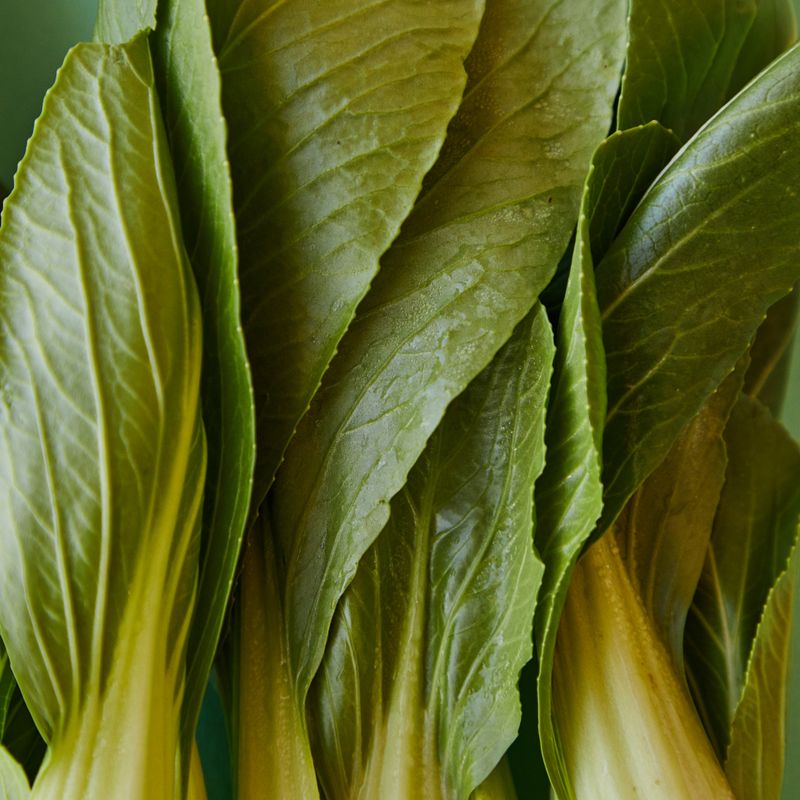 Instant Pot Charred Bok Choy and Crispy Shallot Chip Sorghum Rice