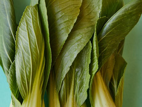 A vibrant display of fresh bok choy leaves showcasing their natural green color and textures.