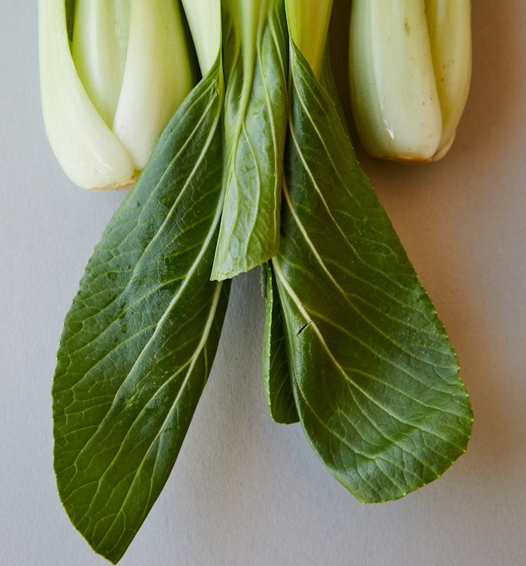 Ripe Green Leaves Of Bok Choy