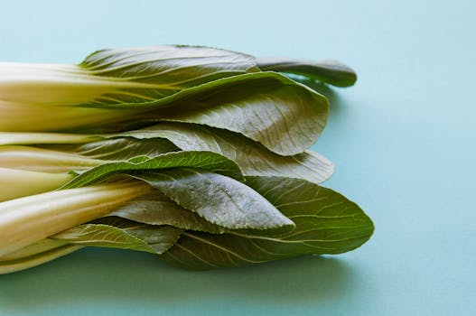 Top view of fresh pok choi with ripe verdant leaves on thick stems on blue background