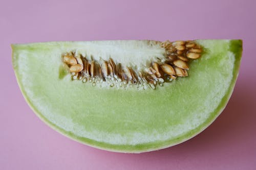 Piece of fresh juicy melon with seeds