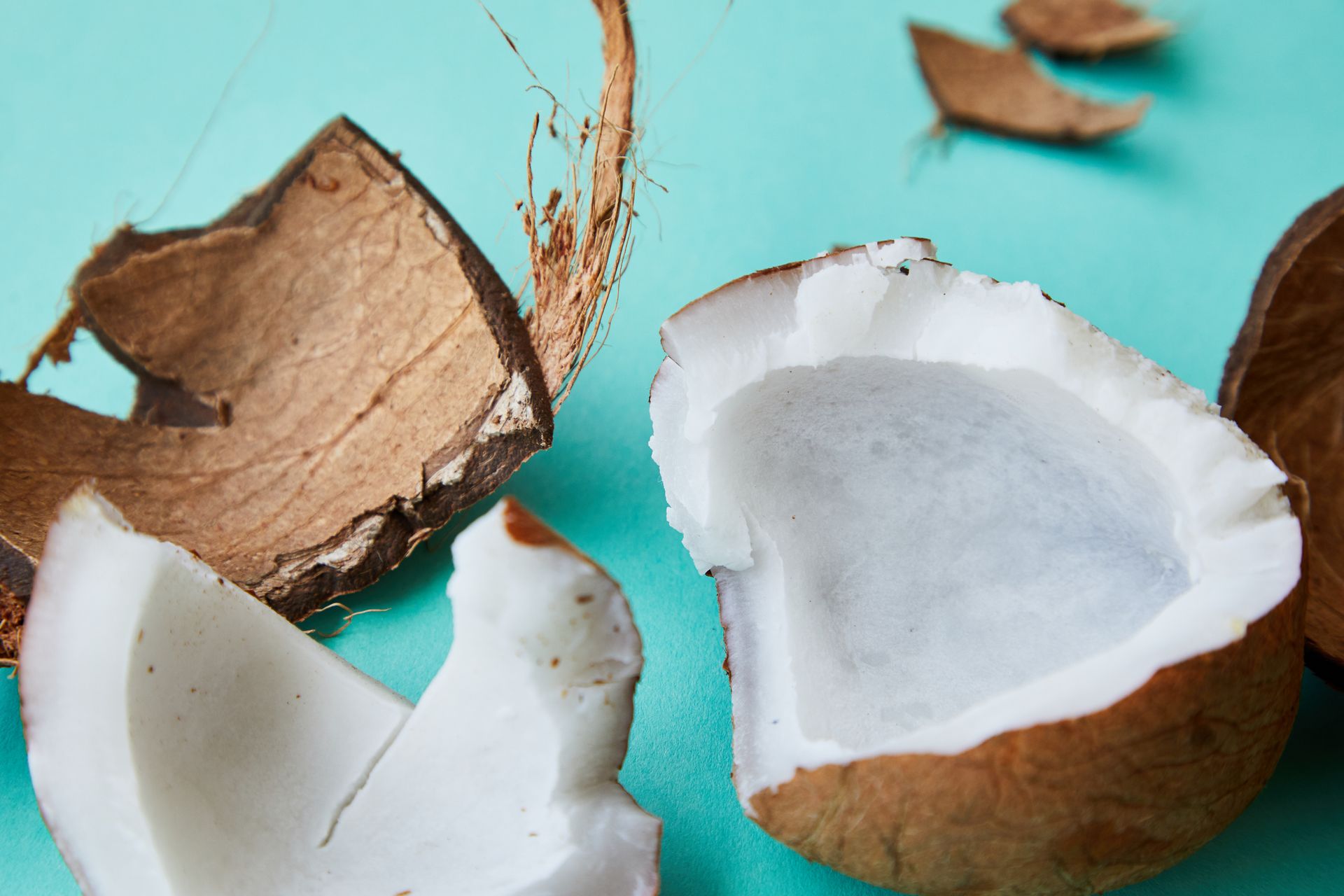 From above of ripe coconut with soft white pulp and rough brown shell placed on blue background