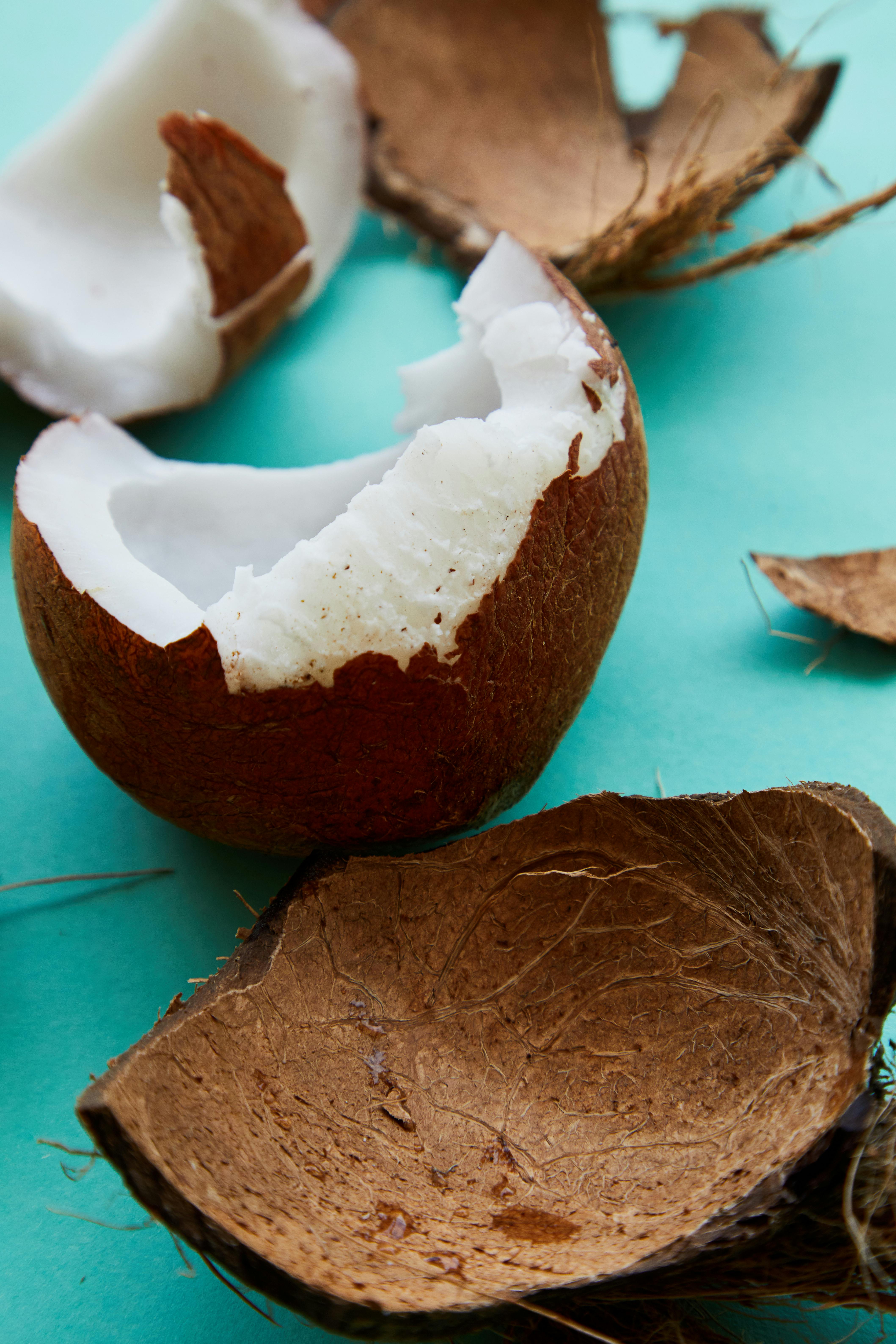 pieces of fresh coconut pulp and shell