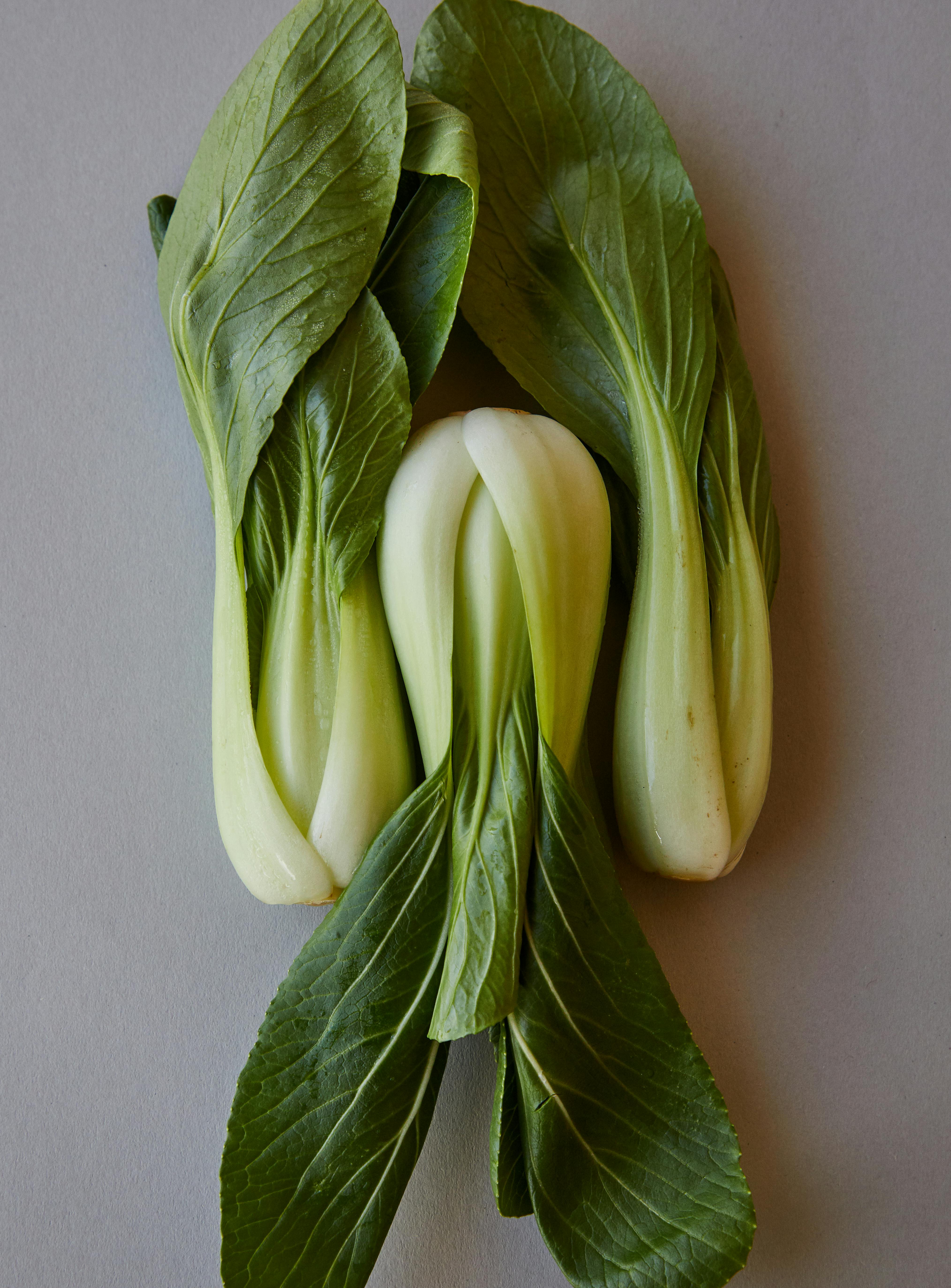 heap of fresh bok choy with green leaves