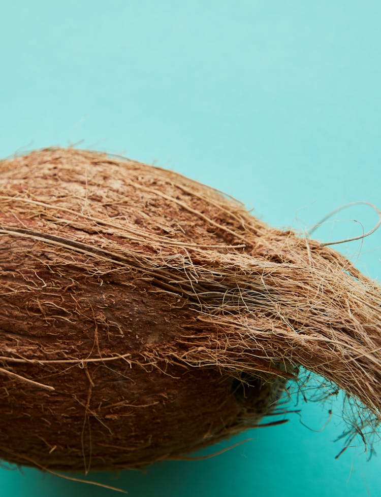 Ripe Brown Coconut Placed On Blue Surface