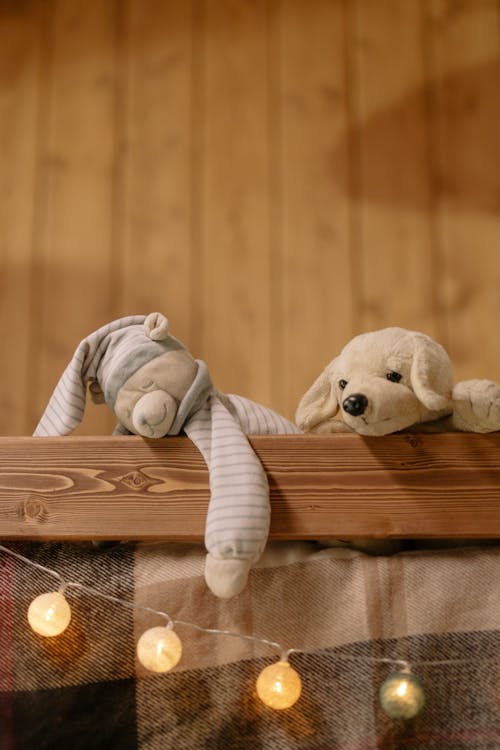 Free Two Plush Toys on Wooden Surface Stock Photo