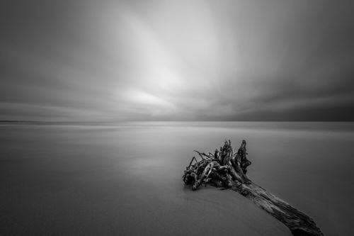 Free Black and white of calm water of vast ocean with massive wood under cloudy gloomy sky Stock Photo