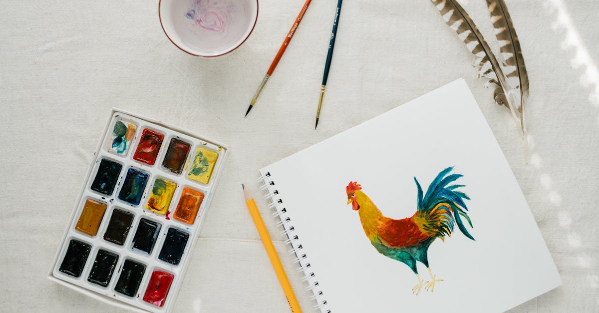 How to paint a sunset with watercolor pencils