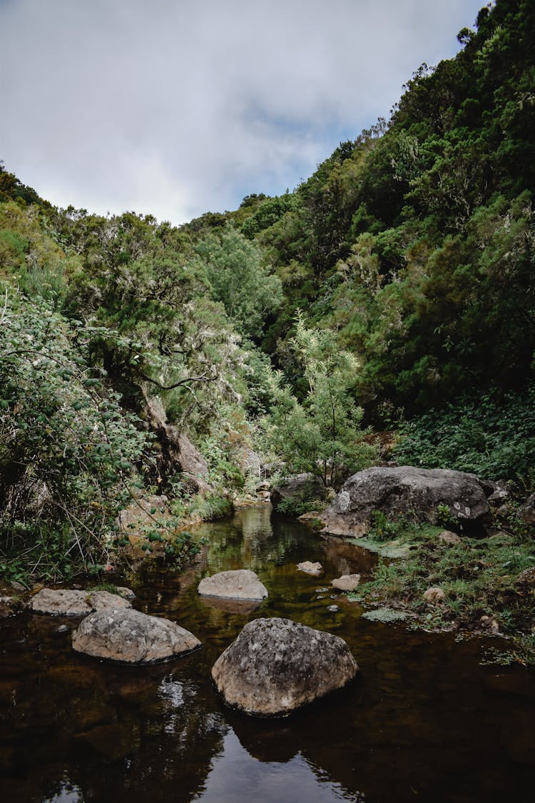 Green Mountain Beside The River