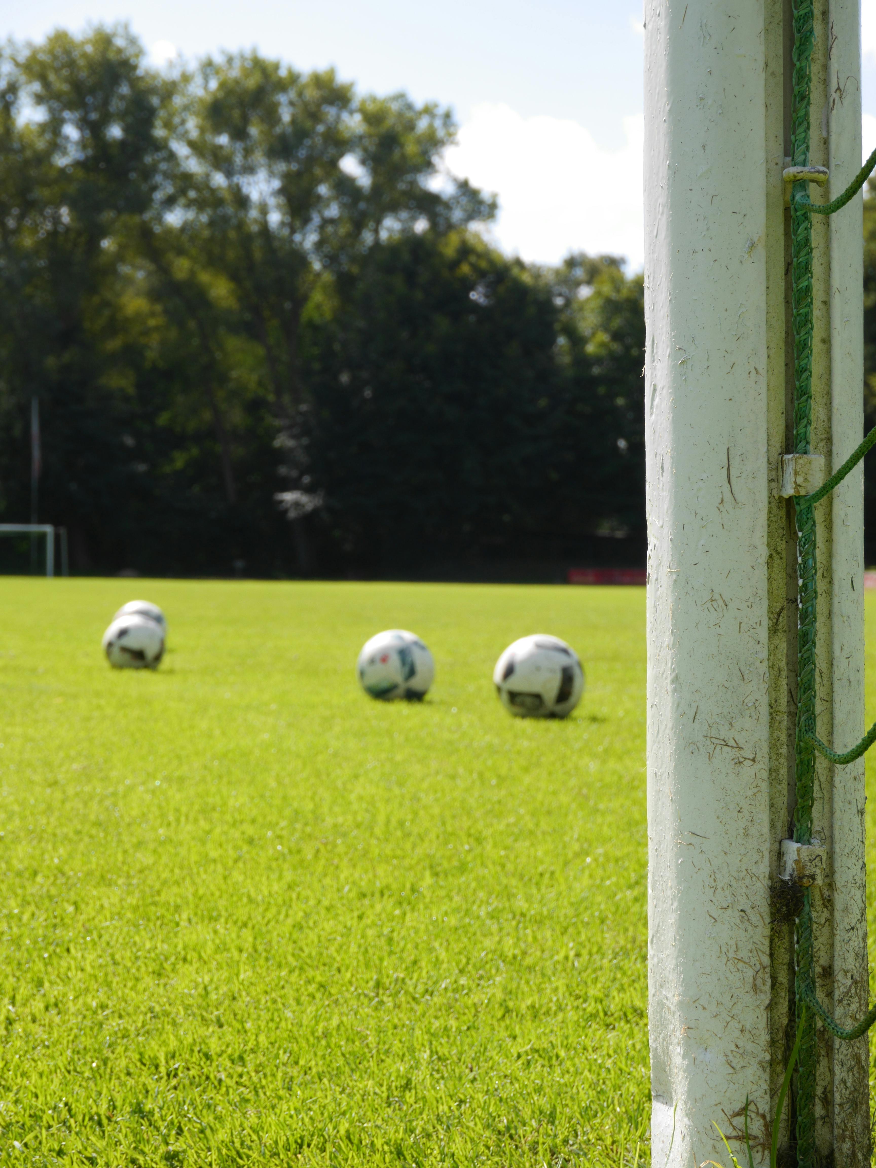 Free stock photo of cones, field, football