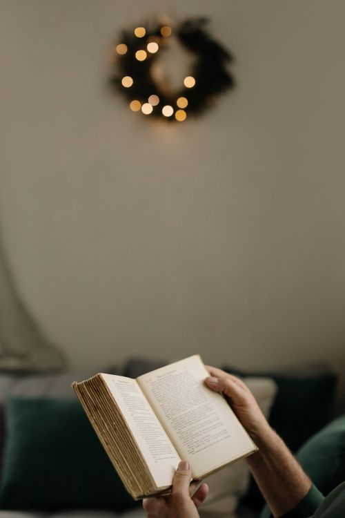 Free Person reading an open book indoors with warm festive lights in the background. Stock Photo