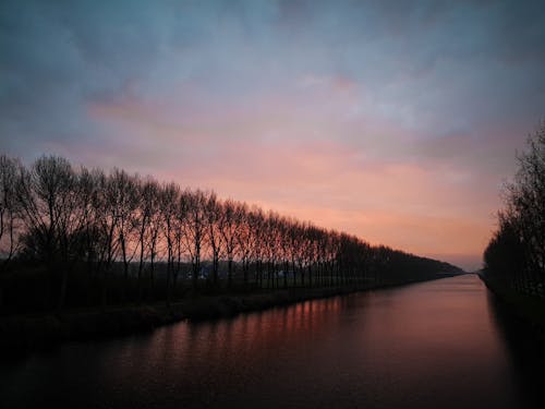 Free Silhouette of Trees Along a River at Sunset  Stock Photo