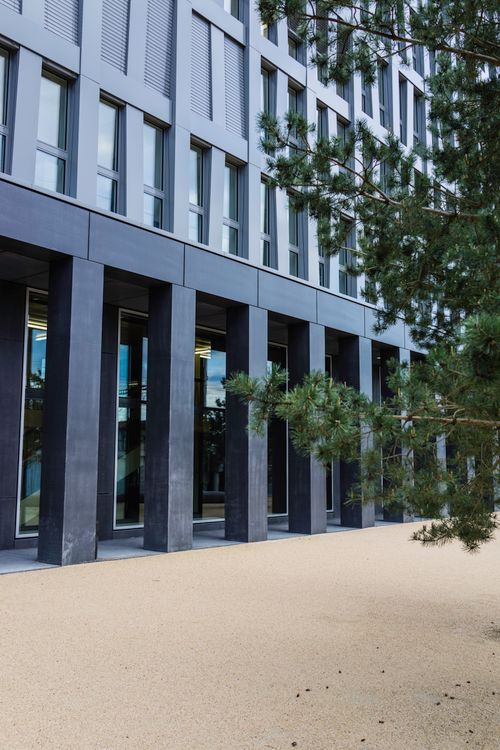 Free Contemporary architecture with vertical lines and a tree foreground in Zollikofen. Stock Photo