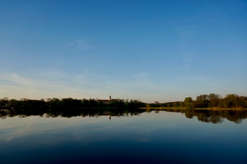 Green Trees Beside Lake Under Blue Sky