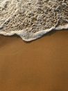 Water on the Shore