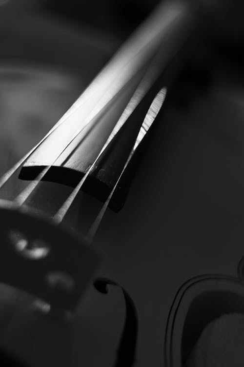 끈, 바이올린, 블랙 앤 화이트의 무료 스톡 사진