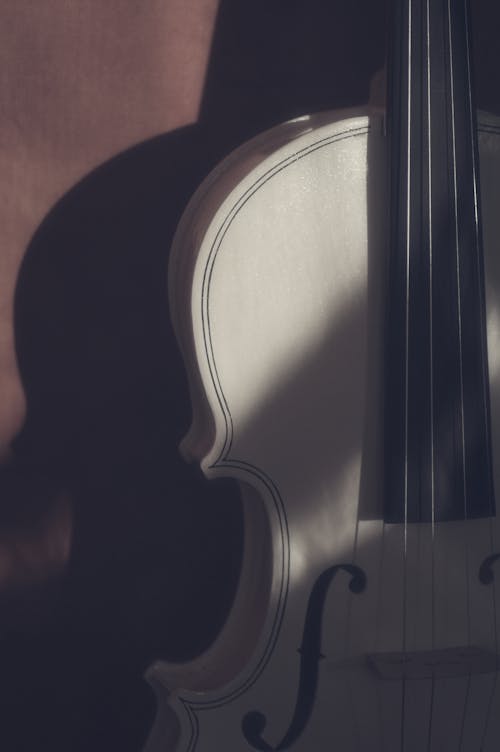 그림자, 끈, 바이올린의 무료 스톡 사진