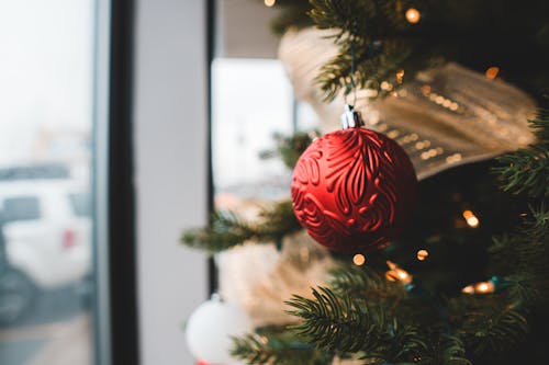 Decorative ball on Christmas tree in daytime