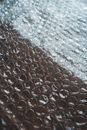 From above of textured background representing bubble pack with seamless pattern on shiny surface