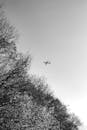 Grayscale Photo of Airplane Flying over Bare Trees