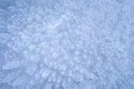 Blue and White Floral Textile