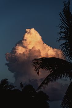 Dramatic cloud formation silhouetted by palm leaves at sunrise in Playa del Carmen, Mexico.