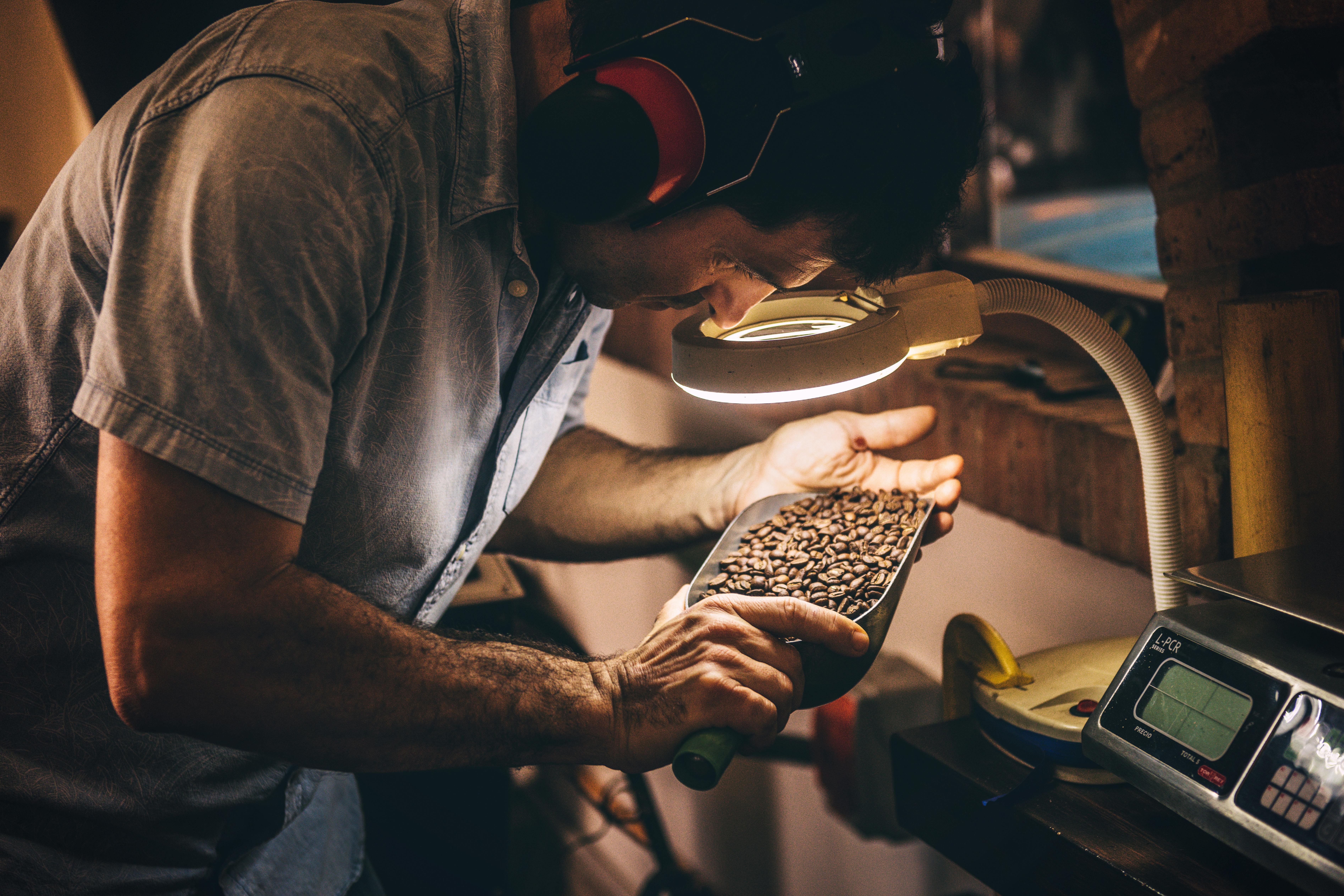 Man Selecting Coffee Beans