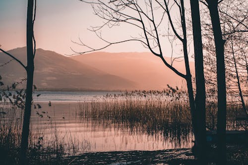 Základová fotografie zdarma na téma jezero, kopec, krajina