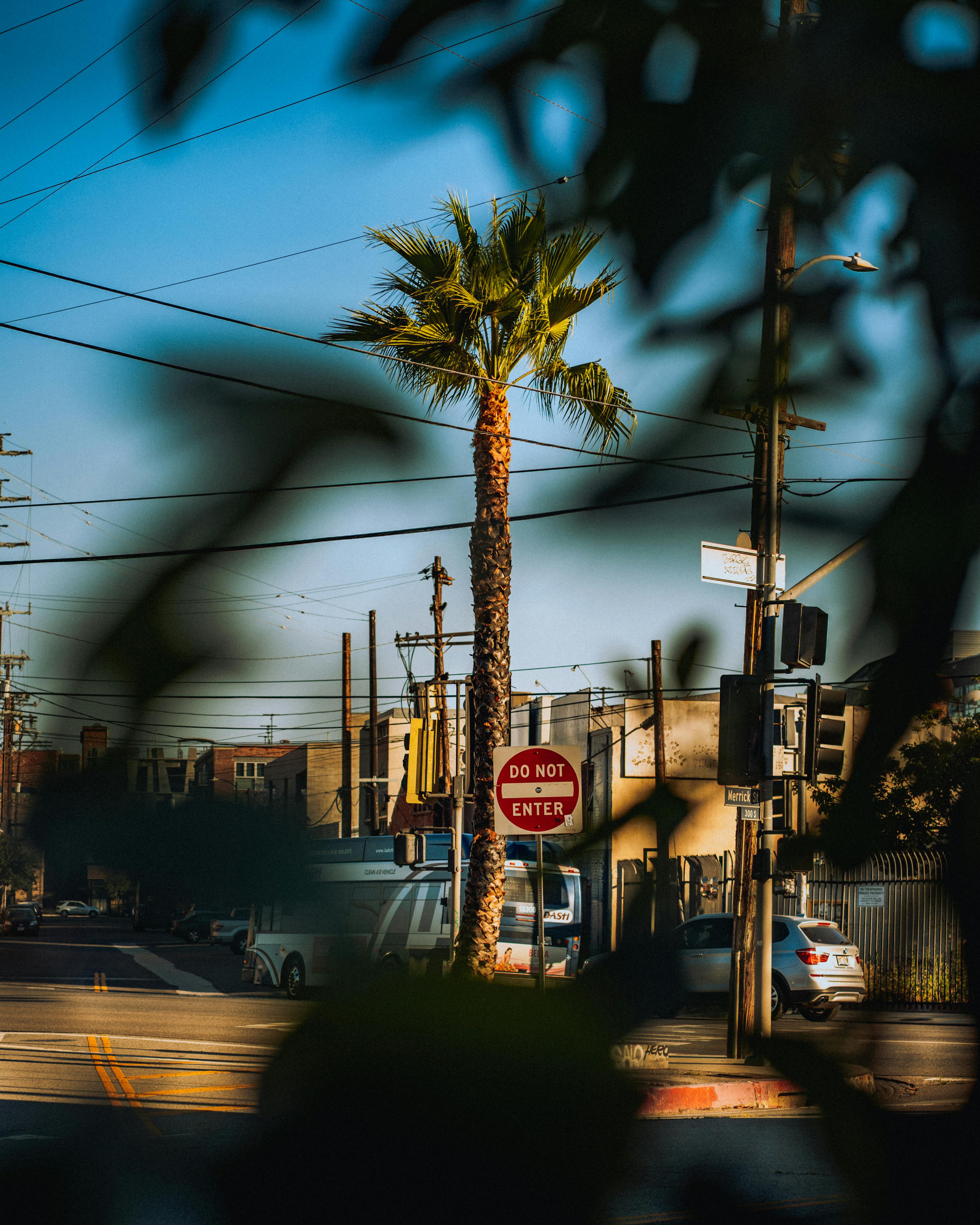 californian street