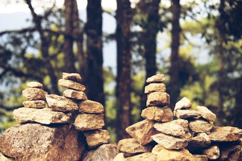 Immagine gratuita di alberi, equilibrio, montagne