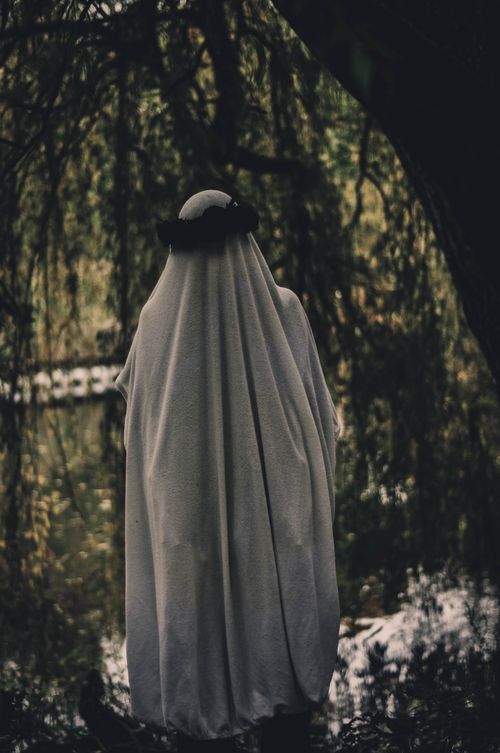Free Enigmatic figure wearing a flower crown and robe in a forested area with a mystical ambiance. Stock Photo