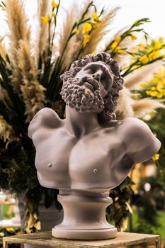 A sophisticated marble bust of a bearded man, framed by lush vegetation, captured outdoors in warm light.