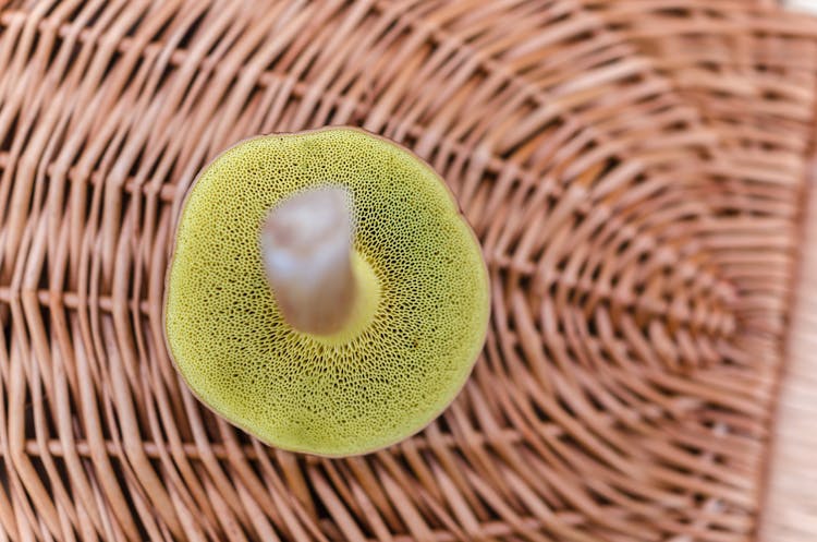 Green Mushroom In Brown Wicker Basket