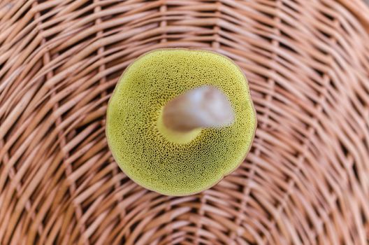 Close-up view of a yellow mushroom cap on a woven basket, showcasing intricate details.