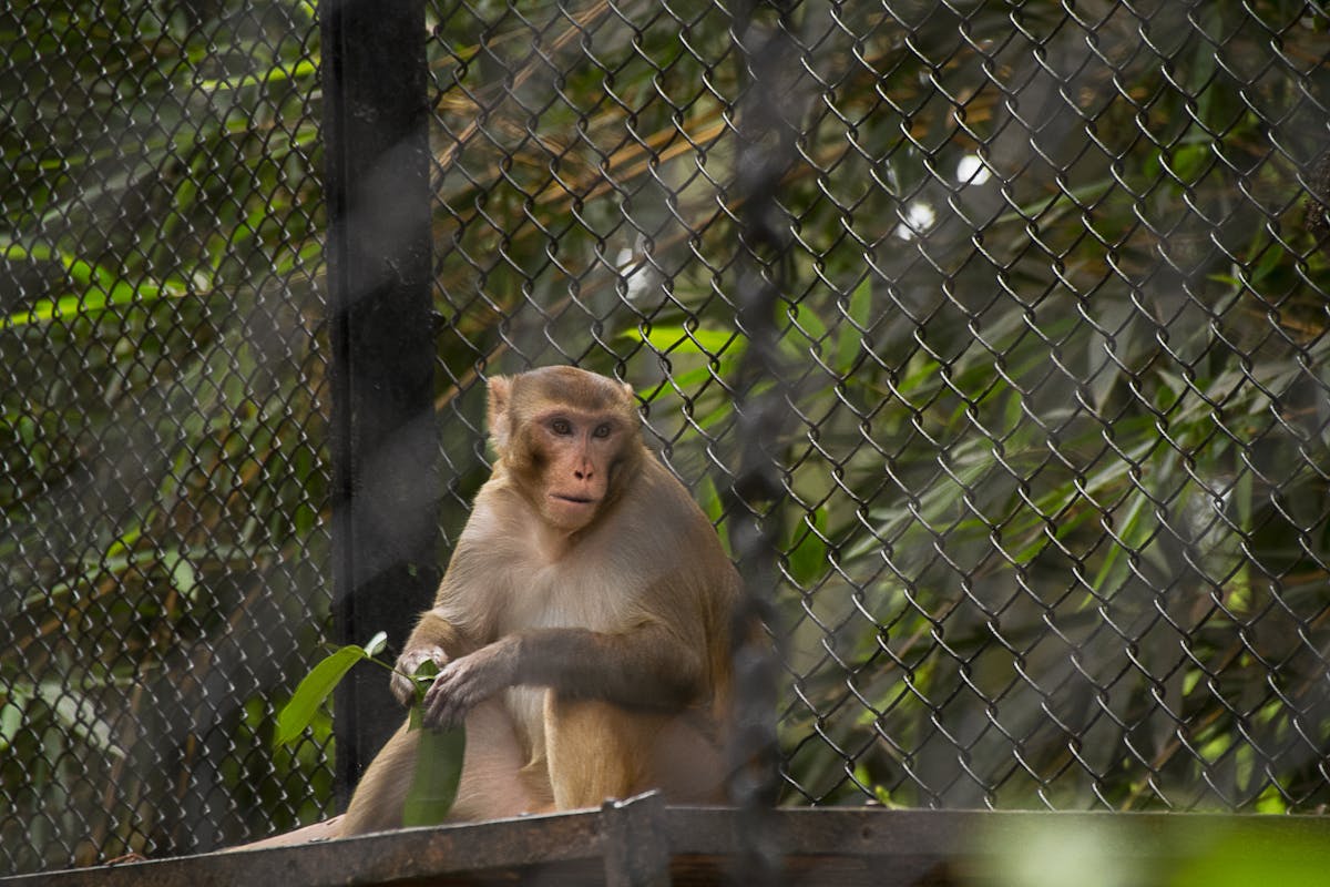 حبة جريب فروت مقطعة - تتفاعل مع العديد من الأدوية